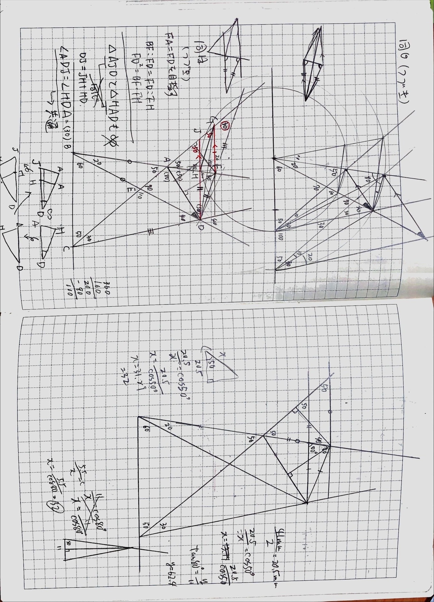 g3943.jpg