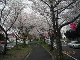 g0014.jpg
