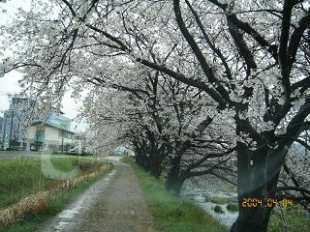 g0018.jpg