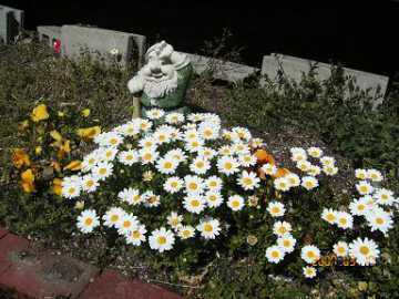 g0041.jpg