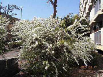 g0043.jpg