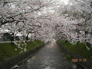 g0139.jpg