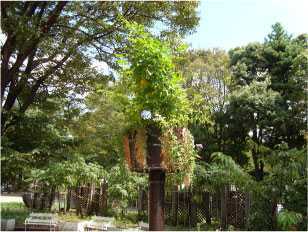 g0367.jpg