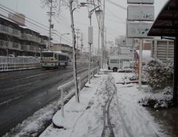 g0467-1.jpg