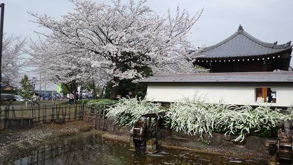 g0683.jpg