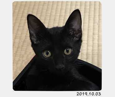 blog-gosui6.jpg