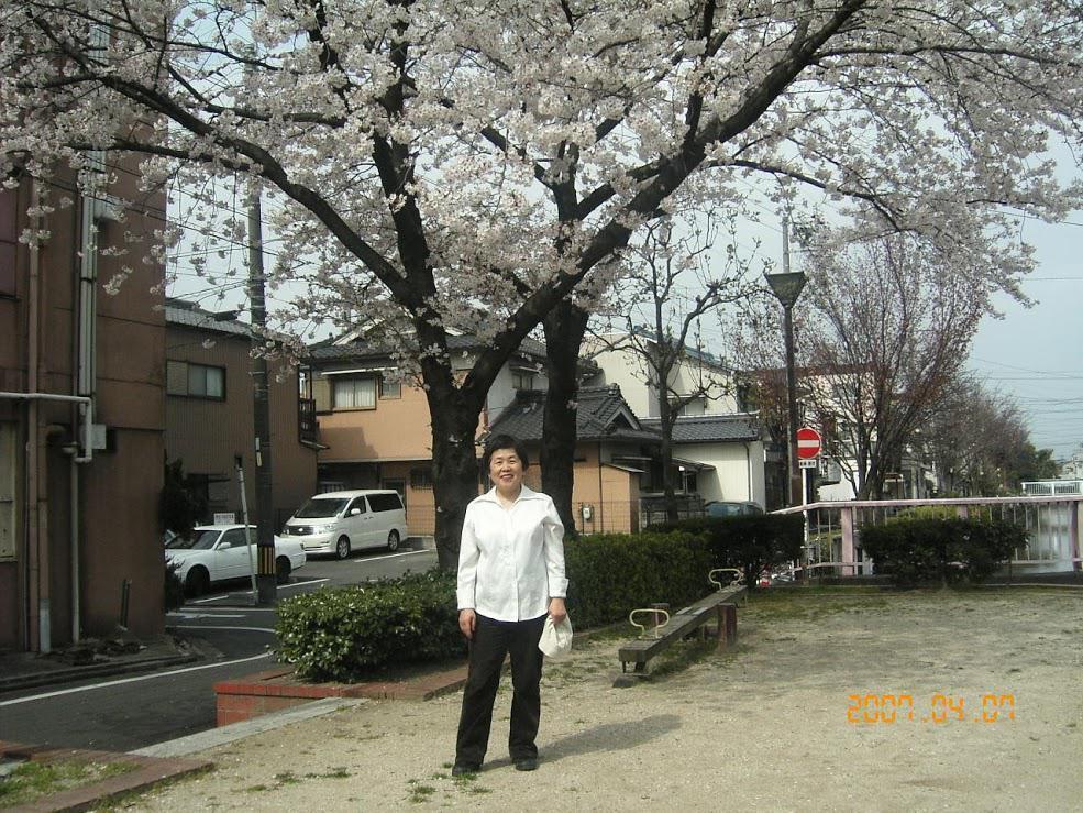secchan_019.jpg